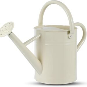1 Gallon Watering Can for Plants, Watering Cans for Indoor&Outdoor Gardening, Galvanized Steel Watering Pot with Removable Spout, Metal Water Can with Ergonomic Movable Handle (White)