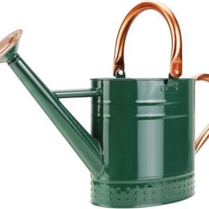 1 Gallon Metal Watering Can with Removable Spout, Nice Galvanized Steel Water Can with Embossed Design for Indoor and Outdoor Plants