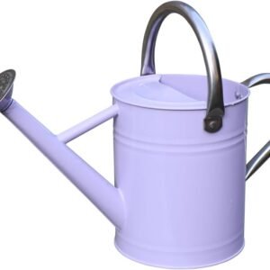 Metal Watering Can, One Gallon Watering Cans Stainless Steel for Outdoor Indoor Garden Plants Watering (Stainless Steel Handle Purple)
