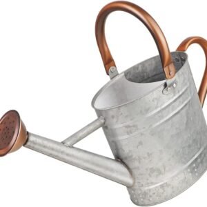 1 Gallon Metal Watering Can with Removable Spout, Nice Galvanized Steel Water Can with Embossed Design for Indoor and Outdoor Plants