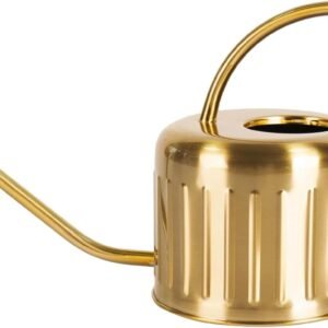 34oz/1L Stainless Steel Watering Can, Rust-Proof Indoor/Outdoor Watering Can for House Plants, Long Spout Water Can for Succulent Bonsai Garden Flowers (Gold Color)