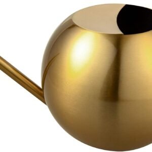 Watering Can for Indoor Plants 45oz/1.3L Stainless Steel Small Indoor Watering Can House Plants