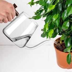 Watering Can Indoor Plants, 27 OZ Glass Watering Can, Long Curved Spout, Suitable for Indoor Plants, Bonsai Garden Flower Decoration