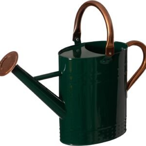 1 Gallon Galvanized Metal Watering Can with Removable Long Spout & Sprinkler Head for Indoor & Outdoor Use Ideal for Garden Flowers Potted Plants Houseplants Modern Home Accessories, Green