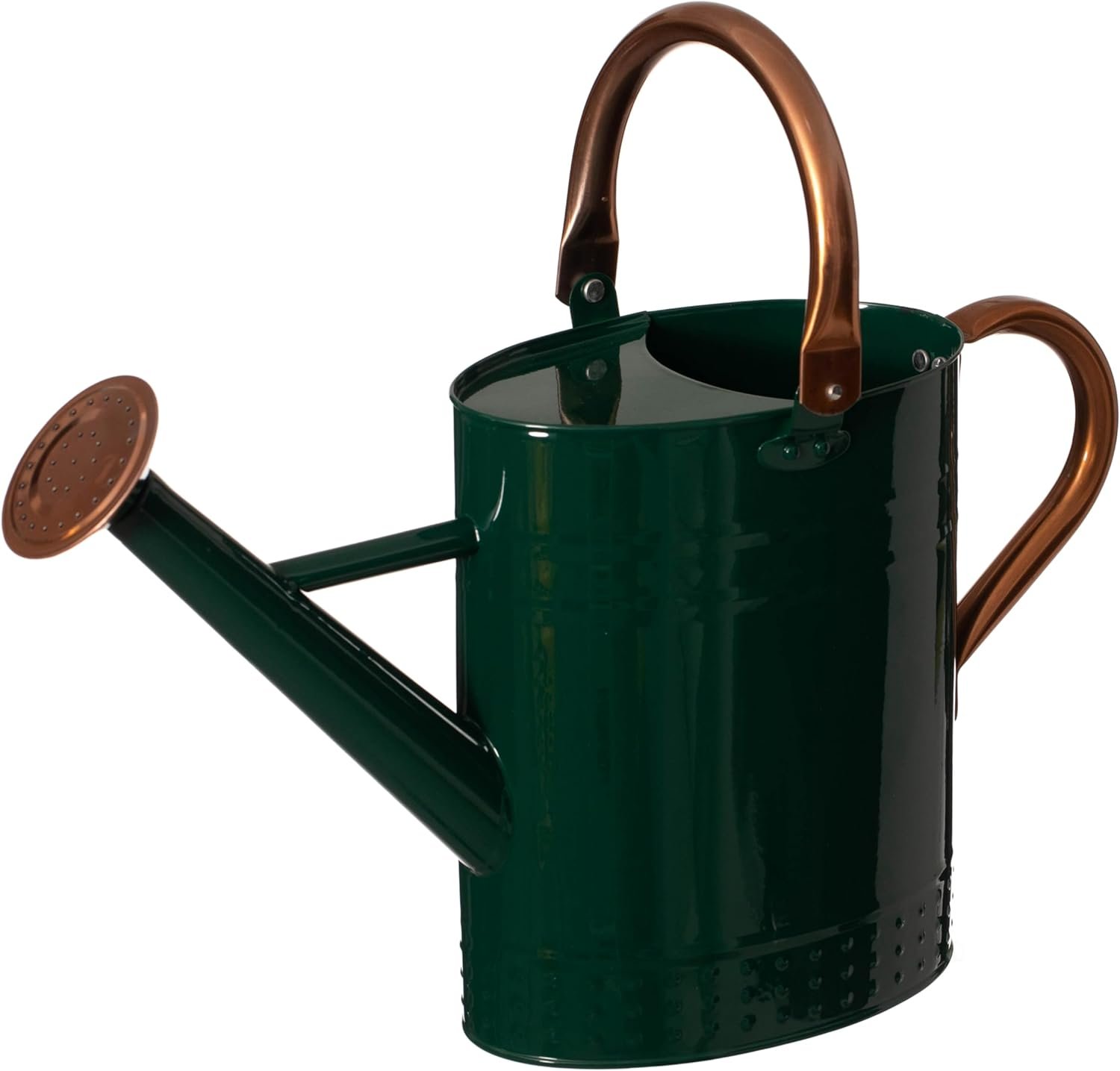 1 Gallon Galvanized Metal Watering Can with Removable Long Spout & Sprinkler Head for Indoor & Outdoor Use Ideal for Garden Flowers Potted Plants Houseplants Modern Home Accessories, Green